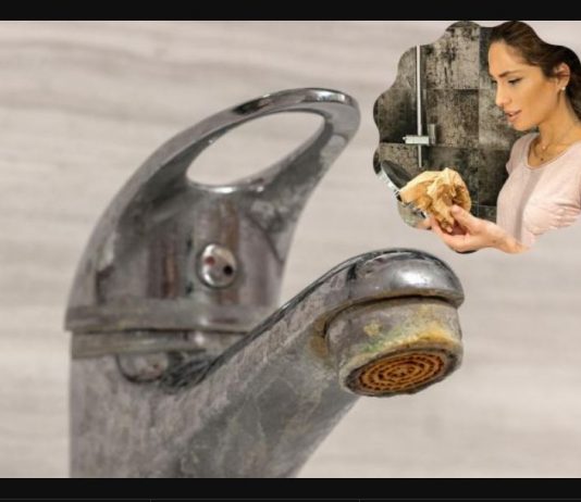 Trik za ČIŠĆENJE KAMENCA se širi kao zaraza: Srpska influenserka otkrila caku – ne treba vam NI VODA, samo 1 stvar koju SVI imamo