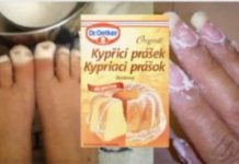 Dame, suzdržite se od jednostavnog dodavanja praška za pecivo u tijesto; smatrajte ovo divnom fantazijom koja će zaslužiti pohvale svake žene.