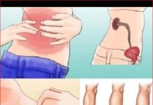 KAD SA BUBREZIMA NIJE SVE U REDU, TIJELO ŠALJE OVE SIGNALE: 6 simptoma koje ne smijete ignorisati!