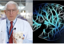 NEUROLOG: Mozak ne voli masnoće, duvan i alkohol. Ali on voli OVO i svi bi trebali znati za to!