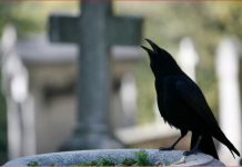 SIGNALI KOJE PREMINULE OSOBE ŠALJU: Poznati medij tvrdi da je to ZNAK da su tu i da nam žele nešto poručiti