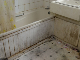 Moćnija od sirćeta i sode bikarbone: Ova namirnica nema šta ne čisti, a uništava kamenac i fleke