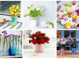 U skladu sa proljećnim raspoloženjem: Ovo je cvijeće koje će vam uljepšati balkon i zamirisati cijelu kuću