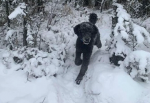 ŠTA STE PRVO VIDELI??? Precizan test ličnosti razotkriće vas za sekund: Sve što ste vešto krili izlazi na videlo