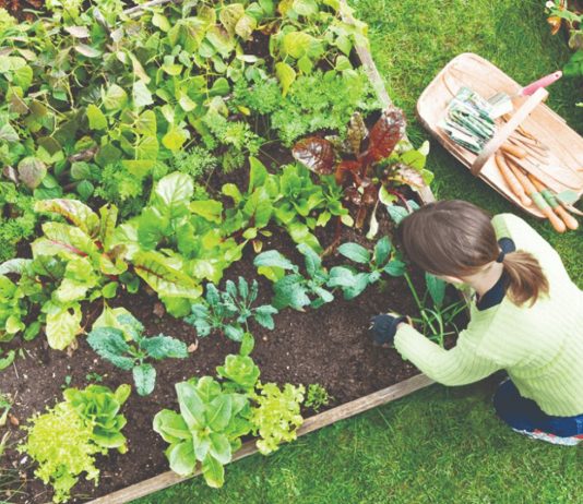 Uz manje napora do boljih rezultata u Vašem vrtu!!!Pročitajte 10 korisnih saveta i olakšajte svoj život