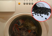 U veš mašinu je ubacila crni biber i objavila je prizor nakon što je mašina završila pranje! (FOTO)