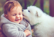 Najbolji psi za djecu – Top 10 pasmina za bezbrižno odrastanje