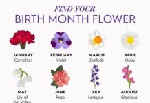 RECITE NAM U KOJEM MJESECU STE ROĐENI: Sada pogledajte šta to govori o vama, svima je pogodilo –1 mjesec je najidealniji