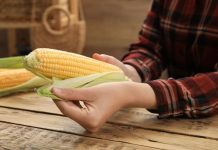 Ovakav kukuruz nemojte nipošto da kupite: Stručnjaci otkrivaju još jednu veliku grešku koju svi prave