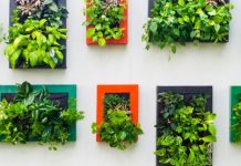 Smjernice za uređenje dvorišta koje će postati vaša omiljena oaza