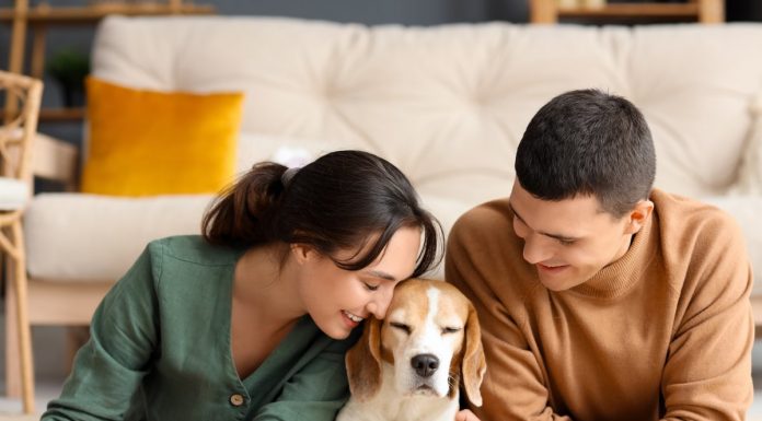 „Možda nije do godina – možda je do tempa života“: Sve više ljudi bira mir umesto brzine