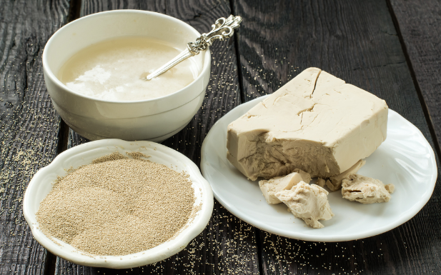 Zaboravite na Skupe Lijekove: Kvasac je Prirodno Čudo za Zdravlje i Vitalnost