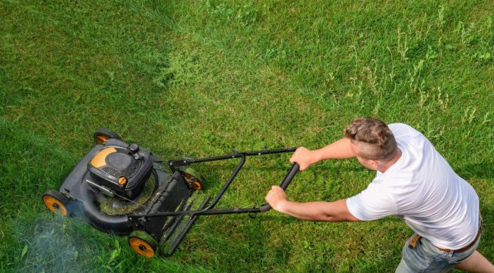 Ovo je točan datum kad biste trebali prestati kositi travu prije zime