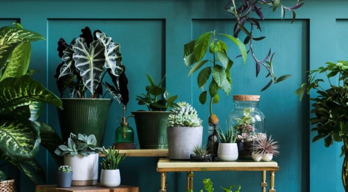 Luksuz u malom prostoru: Tajna uređenja zelenog ugla u dnevnoj sobi o kom svi pričaju