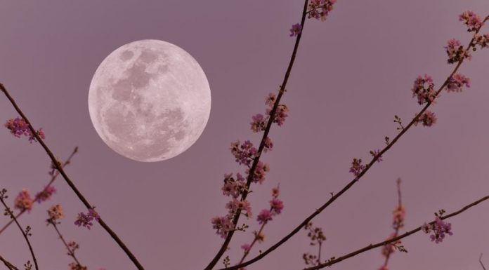 Stiže pun Mjesec u Biku: Za 4 horoskopska znaka život se mijenja 5. novembra