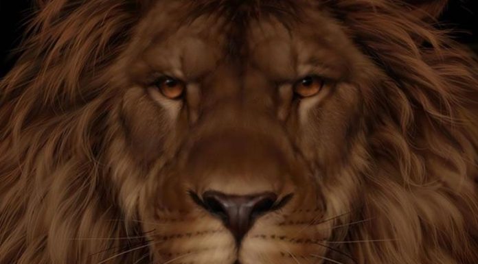 Test za 9 sekundi otkriva da li ste u grupi posebnih: Svi vide lava, a samo 5% ljudi primeti i drugu životinju