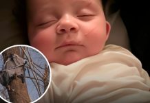 Beba pronađena živa u drvetu nakon tornada: “Kao da ju je Bog položio tamo”