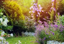 Vrtlar Ivan Juratek savjetuje što činiti kad uvjeti postanu ekstremni: ‘Evo kako će vrt biti otporniji i manje zahtjevan za održavanje‘