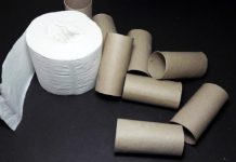 Ne bacajte rolnu toalet papira: Jedna žena je napravila čudo – i svi će ovog proleća posmatrati njeno dvorište