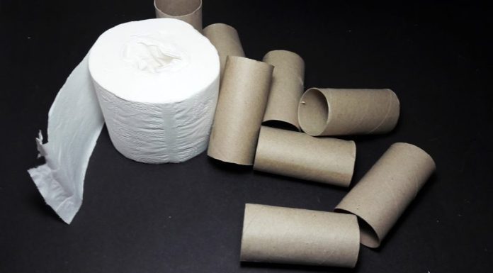 Ne bacajte rolnu toalet papira: Jedna žena je napravila čudo – i svi će ovog proleća posmatrati njeno dvorište