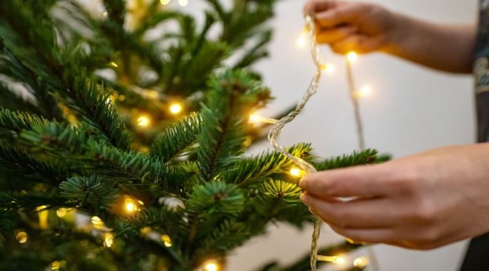 Da li ostaviti lampice na jelci upaljene celu noć? Stručnjaci objasnili koliki je rizik I kako da uštedite struju