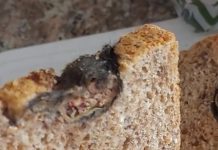 Kupila sam običan hljeb, a unutra sam pronašla nešto što nikada neću zaboraviti!