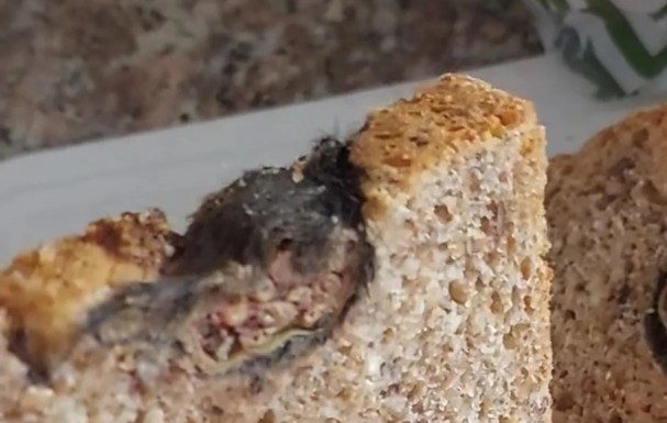 Kupila sam običan hljeb, a unutra sam pronašla nešto što nikada neću zaboraviti!