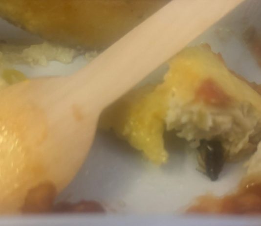 Mislila sam da će biti običan dan… dok u obroku nisam ugledala nešto što se ne zaboravlja