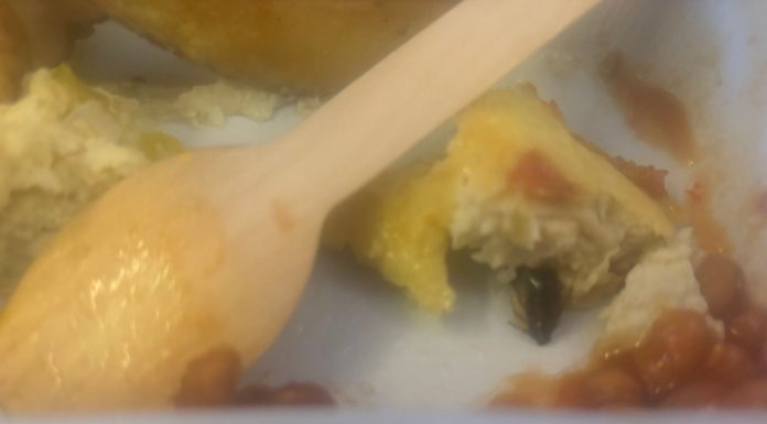 Mislila sam da će biti običan dan… dok u obroku nisam ugledala nešto što se ne zaboravlja