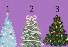 Test! Izaberite najljepšu jelku i saznajte šta vas očekuje za praznike