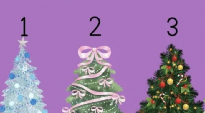 Test! Izaberite najljepšu jelku i saznajte šta vas očekuje za praznike