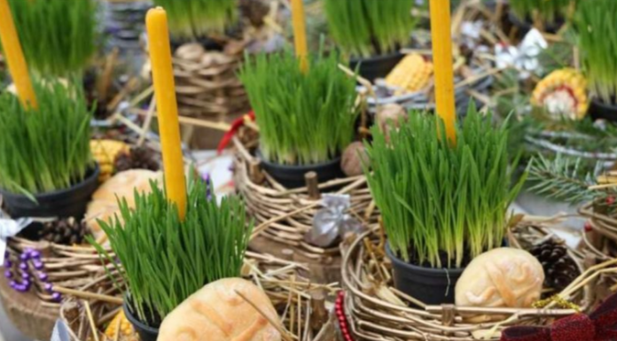 Po vjerovanju, ako se božićna pšenica POSADI NA OVAJ DAN, kuća će biti blagoslovena cijele godine