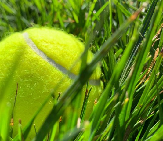 Ove noći ostavite teniske loptice razbacane po dvorištu: Stručnjaci otkrivaju iznenađujući razlog