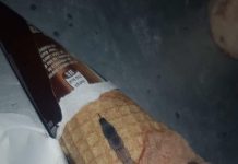 Nikada ne bih pomislio da ću pronaći ovo u svom omiljenom sladoledu!