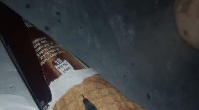 Nikada ne bih pomislio da ću pronaći ovo u svom omiljenom sladoledu!