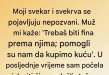 „Dan kada sam konačno razumela svoje svekra i svekrvu“ – Sta ima novo?