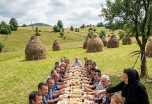 Udovica je noću krišom krenula da kosi livadu jer nije imala novca za radnike, a ujutru je zatekla prizor koji ju je bacio na kolena