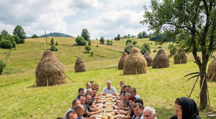 Udovica je noću krišom krenula da kosi livadu jer nije imala novca za radnike, a ujutru je zatekla prizor koji ju je bacio na kolena
