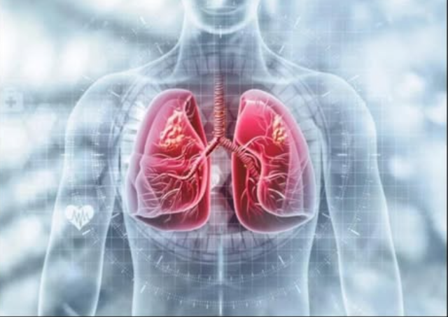 Screenshot 2026-01-23 092923