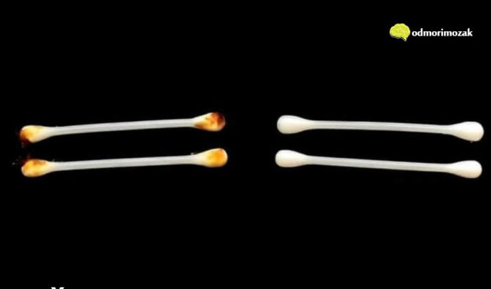 Screenshot 2026-01-28 092723