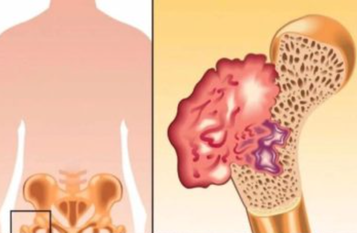 Screenshot 2026-01-29 101912