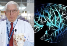 NEUROLOG: Mozak ne voli masnoće, duvan i alkohol. Ali on voli OVO i svi bi trebali znati za to!