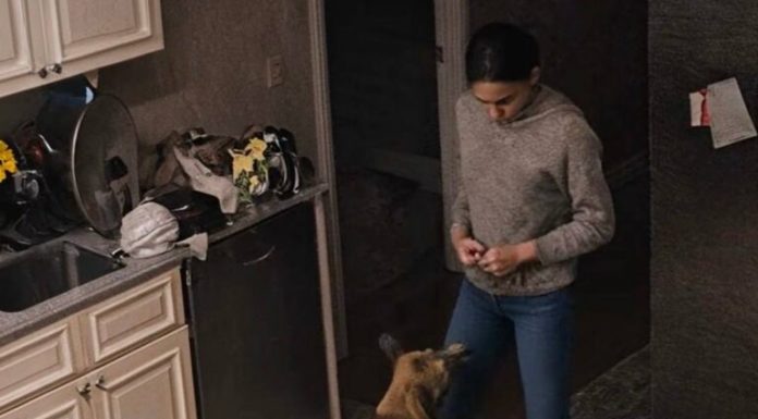 Žena se žalila da njihov pas stalno bez razloga napada nju: muž joj nije povjerovao i odlučio je postaviti kameru kako bi promatrao ženu i psa, ali ono što je vidio na ekranu šokiralo ga je 😨😱