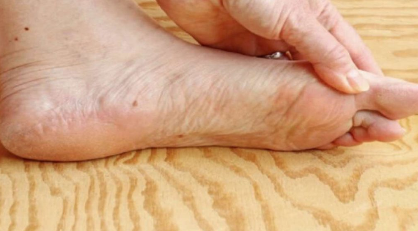 Screenshot 2026-02-16 100651