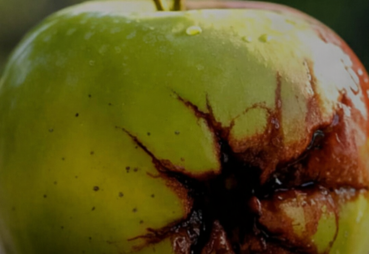 Screenshot 2026-04-14 110227