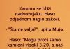 VIC DANA: Kamiondžije VIC DANA: Kamiondžije - featured image