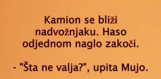 VIC DANA: Kamiondžije - featured image