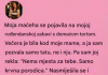 Jednostavna rođendanska torta otvorila je stare rane — i pokazala mi kako oproštaj leči porodicu
